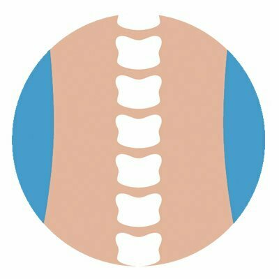 SPINE and BACK - First Health PT